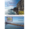 Caulerpa Conquest: A Biological Eradication on the California Coast