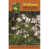 Wildflower Walks & Hikes: North Carolina Mountains