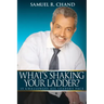 What's Shaking Your Ladder?: 15 Challenges All Leaders Face