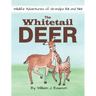 The Whitetail Deer
