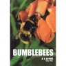 Bumble Bees