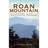 Roan Mountain: History of an Appalachian Treasure