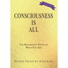 Consciousness Is All: The Magnificent Truth of What You Are