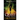 Quest Into Oblivion