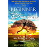 The Beginner Blueprint: From Zero to Hero, Your Road Map to Success, No Matter What Your Goal