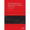 The Final Bronze Age Settlement of Casalmoro (Mantua, Italy): Finds and chronology