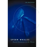 Sperm Whales: Social Evolution in the Ocean