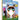 The Little Grumpy Cat That Wouldn't