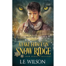 A Fake Fiancé on Snow Ridge: A Steamy Shifter Romance