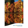 Day Surfer Login Organizer (Fall Colors)