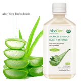 Pure Aloe Vera Juice Natural Flavor - USDA Certified Organic by AloeCure