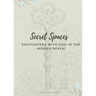 Secret Spaces - Encounters with God in the Hidden Realm