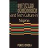 Software Engineering And Tech Culture In Nigeria