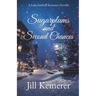 Sugarplums and Second Chances: A Lake Endwell Romance Novella