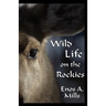 Wild Life on the Rockies