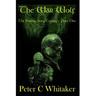 The War Wolf: The Sorrow Song Trilogy Part One