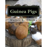 Guinea Pigs: A Practical Treatise on their Breeding, Feeding and Management of Cavies