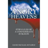 Angry Heavens: Struggles of a Confederate Surgeon