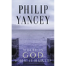 Where Is God When It Hurts?: Your Pain Is Real . . . When Will It End?