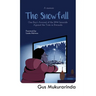 The Snowfall: One Boy's Account of the 1994 Genocide Against the Tutsi in Rwanda