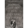 Because the Sky is a Thousand Soft Hurts