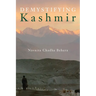Demystifying Kashmir