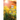 33 Days of Oils