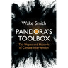 Pandora's Toolbox: The Hopes and Hazards of Climate Intervention