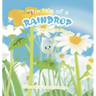 The tale of a raindrop