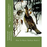 Grouse and Wild Turkeys of the United States: How To Raise Turkeys Book 4