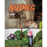 Nutmeg the Chipmunk: Colouring Book with Fun Facts for Kids