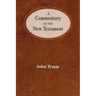 A Commentary of the New Testament