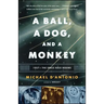 A Ball, a Dog, and a Monkey: 1957 - The Space Race Begins