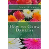How to Grow Dahlias