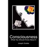 Consciousness: What You Should Know About It