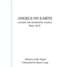 Angels on Earth: A Guide for Awakening Angels