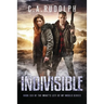Indivisible: Book Six of the What's Left of My World Series