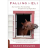 Falling for Eli: How I Lost Heart, Then Gained Hope Through the Love of a Singular Horse