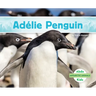 Adelie Penguin