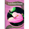 Anthurium: Why my Plant not grow? problems and their solutions
