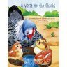 A Visit to the Chicks