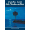 Soups, Stews, Gumbos, Chilis, Chowders and Bisques - courtesy of some of the finest restaurants in the South Carolina Lowcountry