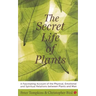 The Secret Life of Plants