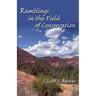 Ramblings in the Field of Conservation