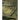 Cubagua