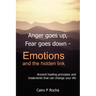 Anger Goes Up, Fear Goes Down- Emotions and the Hidden Link: Ancient Healing Principles and Treatments That Can Change Your Life