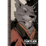 Teenage Mutant Ninja Turtles: The IDW Collection Volume 2