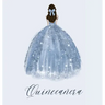 Quinceañera guest book, Mis Quince Anos Guest book, birthday party guest book to sign