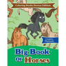 Big Book of Horses - Coloring Books Horses Edition