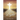 Seeking the Light